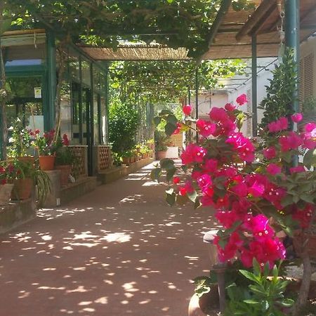 Villa Dei Fiori B&B Κάπρι Εξωτερικό φωτογραφία