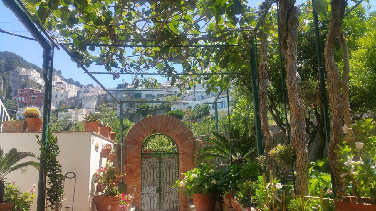 Villa Dei Fiori B&B Κάπρι Εξωτερικό φωτογραφία