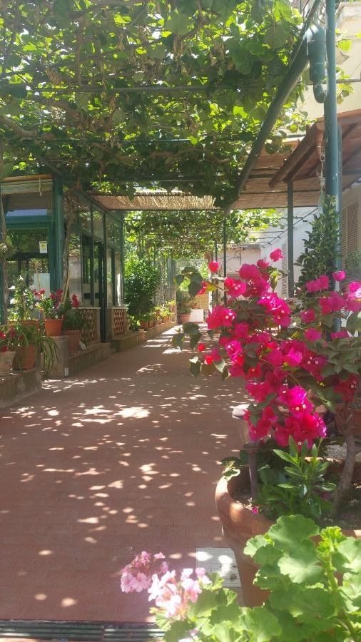 Villa Dei Fiori B&B Κάπρι Εξωτερικό φωτογραφία