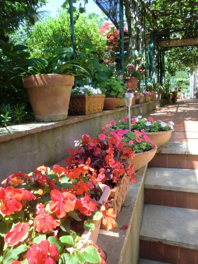 Villa Dei Fiori B&B Κάπρι Εξωτερικό φωτογραφία