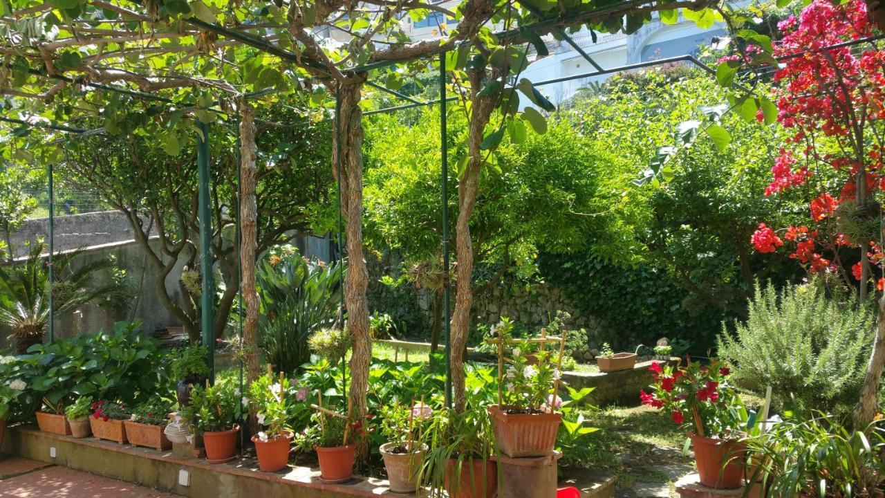 Villa Dei Fiori B&B Κάπρι Εξωτερικό φωτογραφία