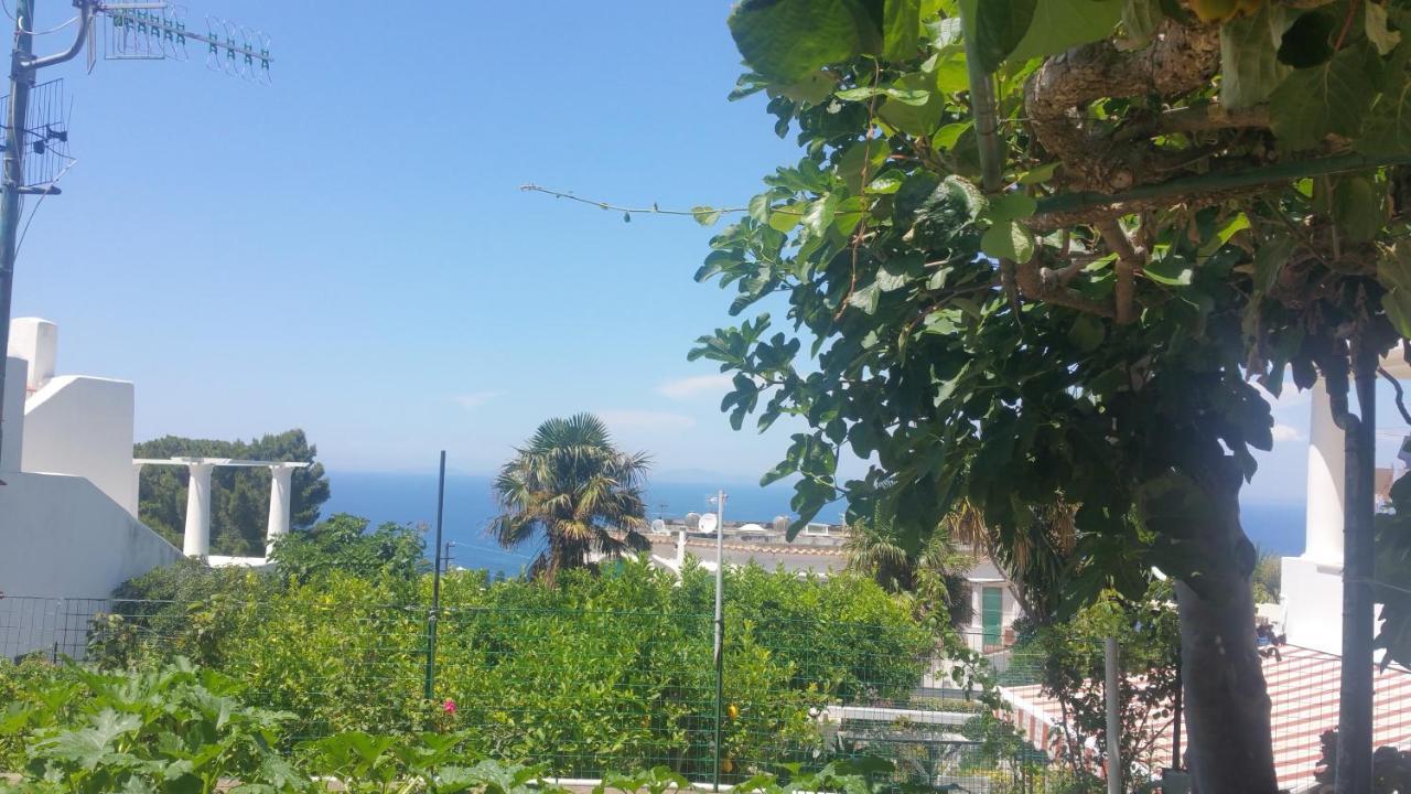 Villa Dei Fiori B&B Κάπρι Εξωτερικό φωτογραφία