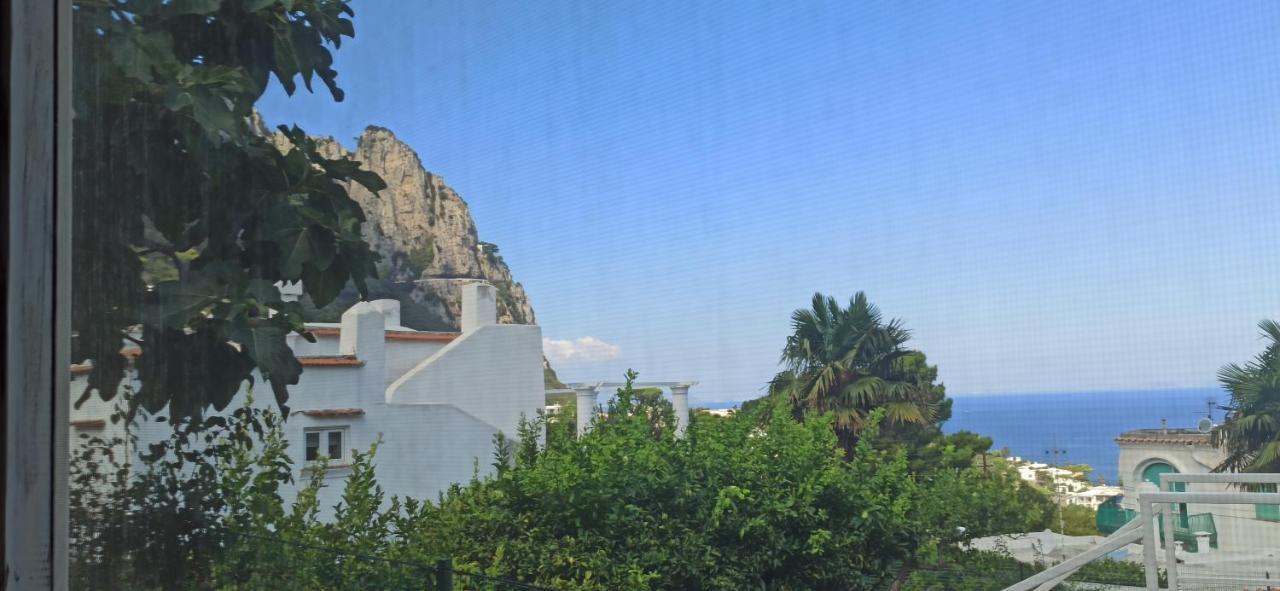 Villa Dei Fiori B&B Κάπρι Εξωτερικό φωτογραφία