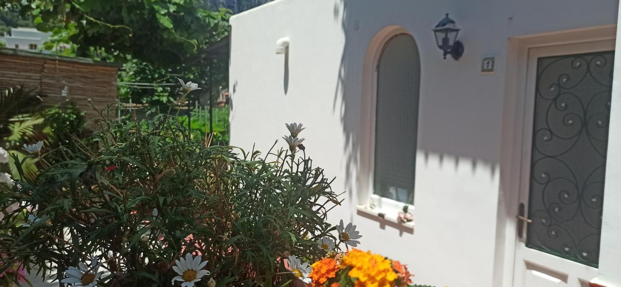 Villa Dei Fiori B&B Κάπρι Εξωτερικό φωτογραφία