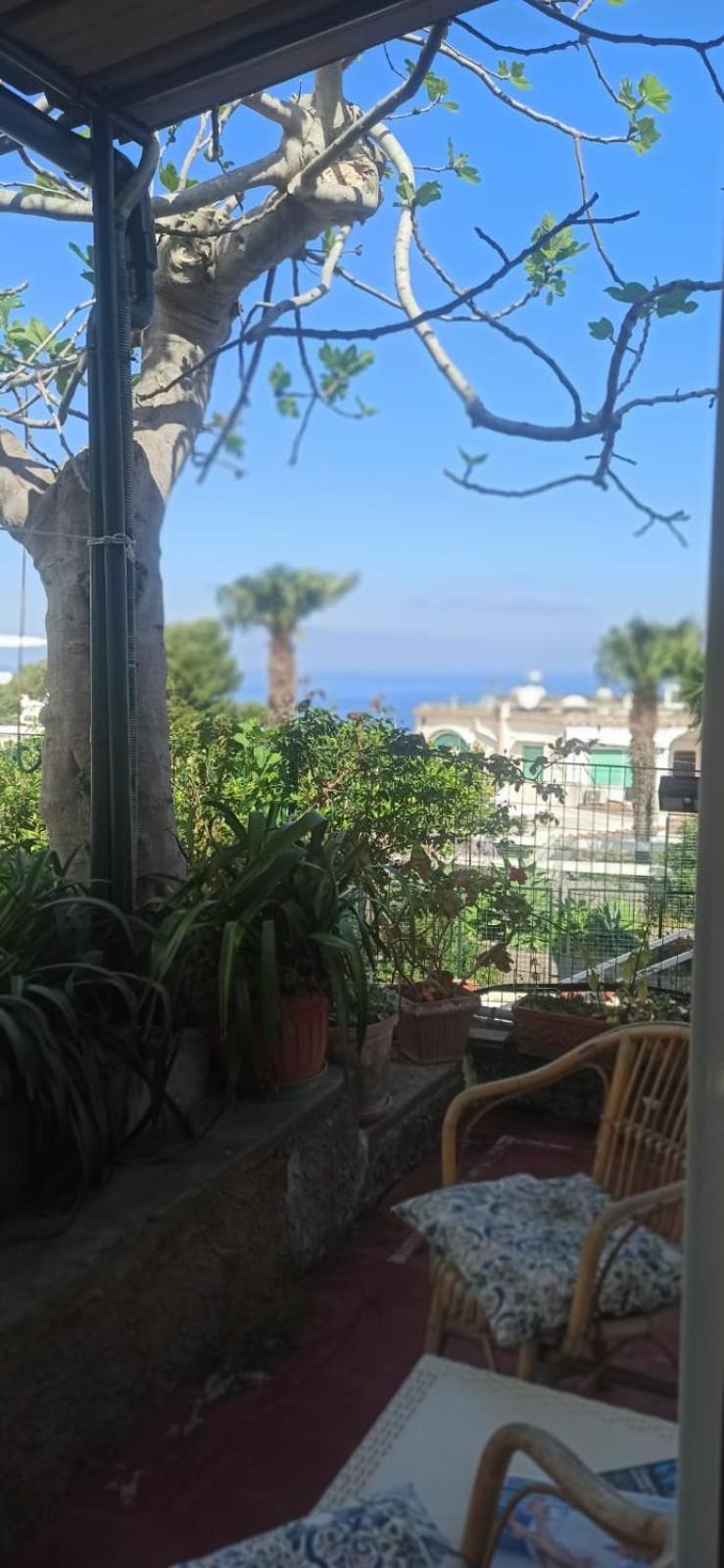 Villa Dei Fiori B&B Κάπρι Εξωτερικό φωτογραφία