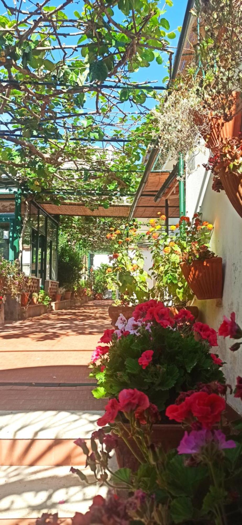 Villa Dei Fiori B&B Κάπρι Εξωτερικό φωτογραφία